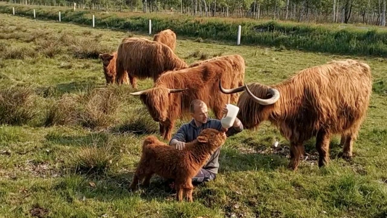 Rok pracy na farmie z Basiami. Podsumowanie 2019
