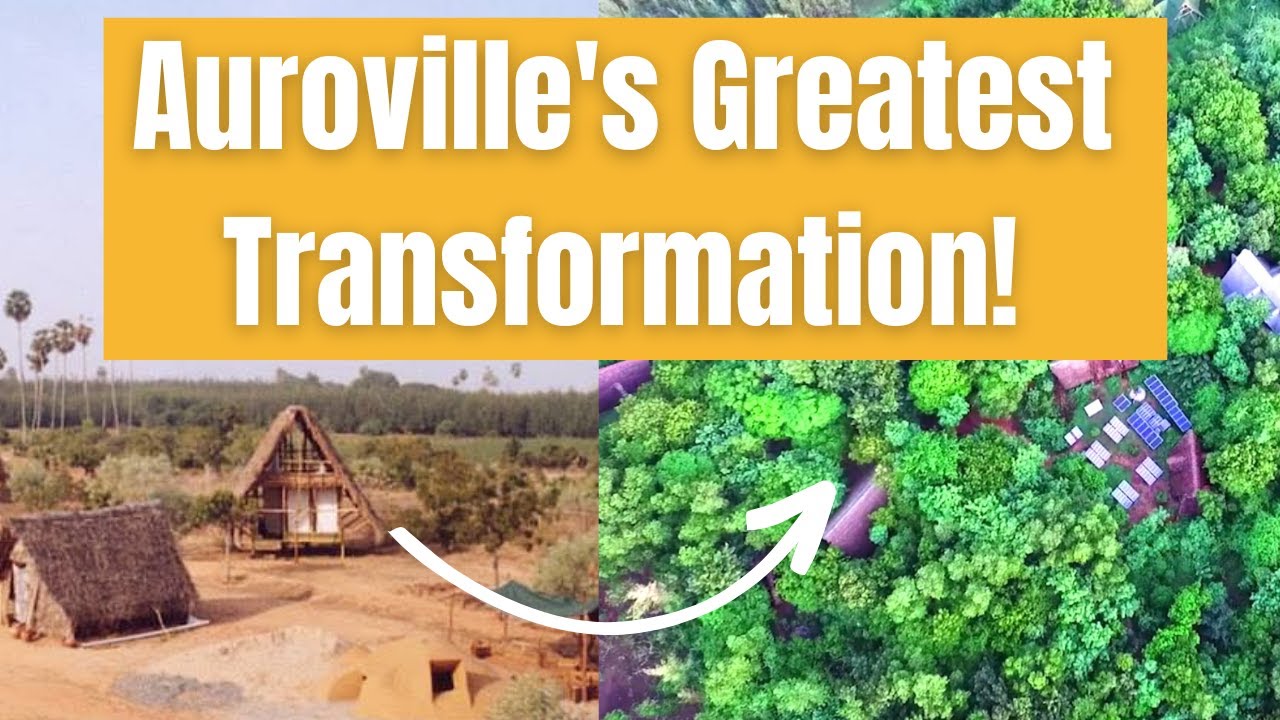 Sadhana Forest: Inspiring Story of This Environmental Miracle!