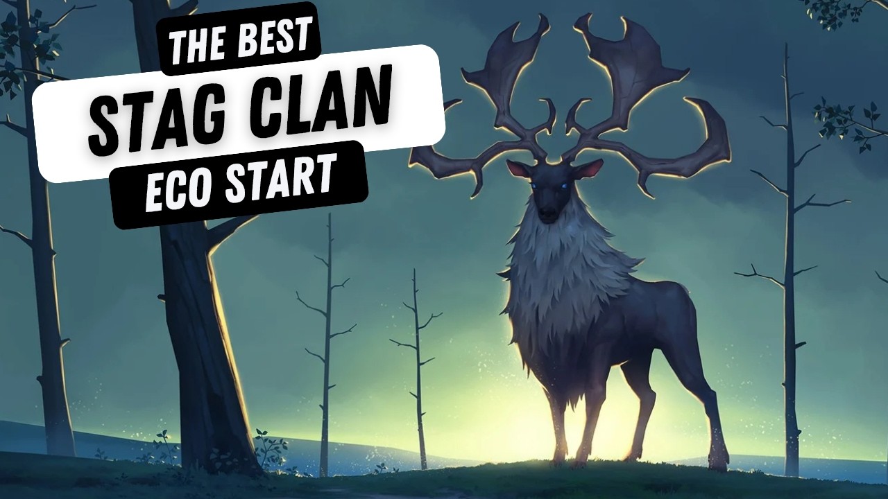 Лучший старт для Stag Eco