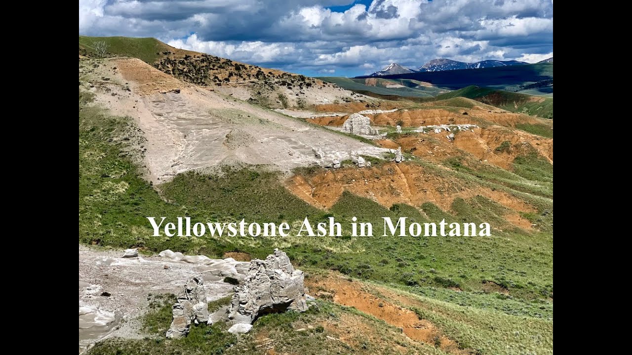 Yellowstone Ash in Montana