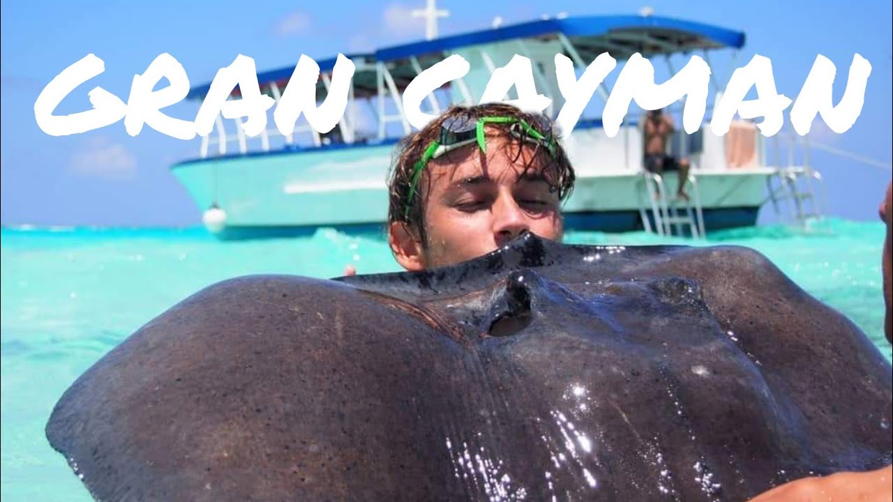 O QUE FAZER nas ILHAS CAYMAN | DICAS, MERGULHO E ARRAIAS!