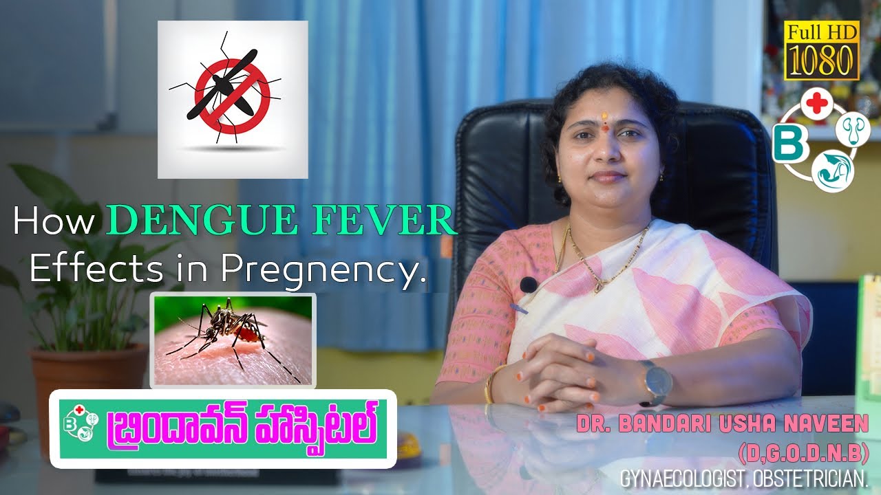 How DENGUE FEVER Effects in Pregnancy || Brindavan Hospital || Dr. Bandari Usha Naveen ||