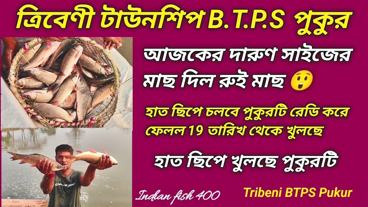 হাত ছিপে খুলছে এই পুকুর মাছ দিচ্ছে আজ দেখুন ! দারুন সাইজের রুই মাছ দিচ্ছে 😲 ! পাশের মূল্য কম ! Fish 
