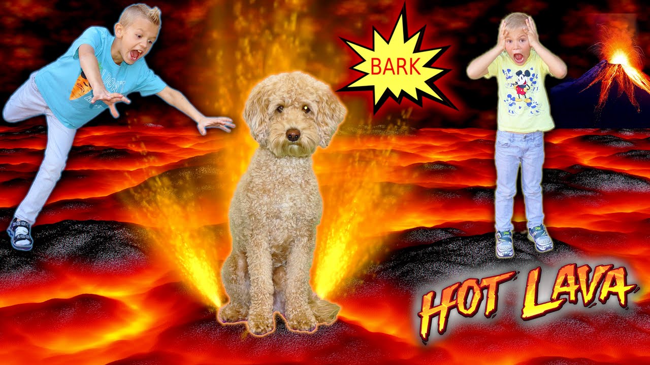 Puppy Stuck In Lava! Floor Is Lava Grizz The DoG Gets HeLP!