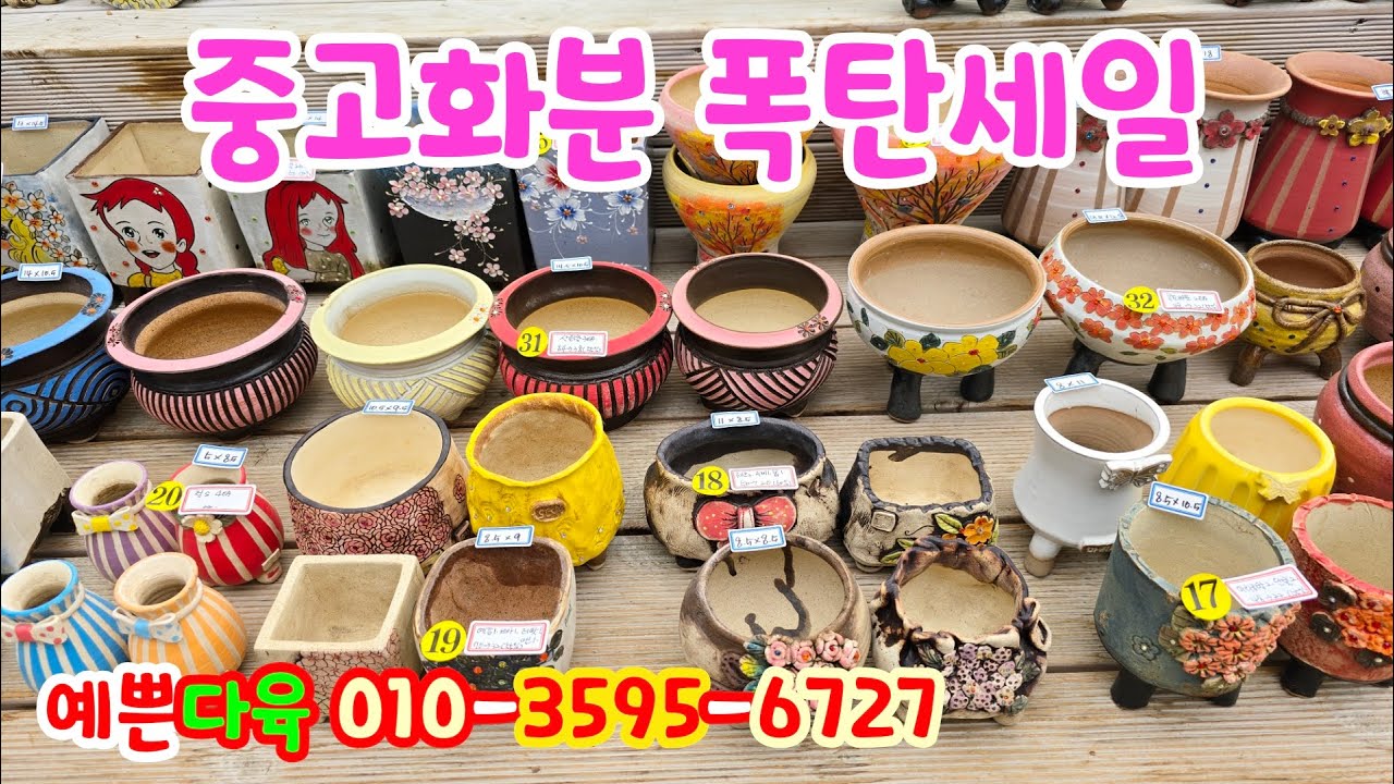 250505📍#예쁜다육💝이런 가격은 보기 쉽지 않으니 꼭  기회를 잡으세요