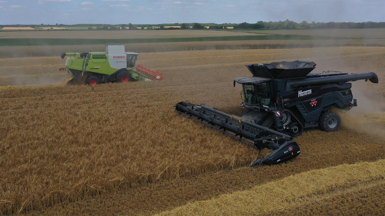 Árpa aratás/Barley Harvest 2023- Massey Ferguson IDEAL 9T, Claas Lexion 660-Lipták Farm, Katymár