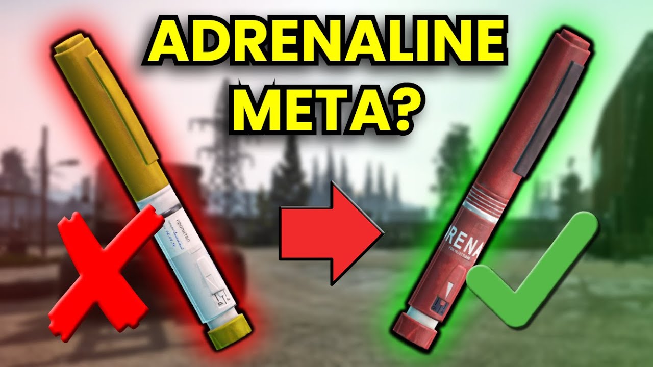 The Best Stims In Patch 13.5! #ad