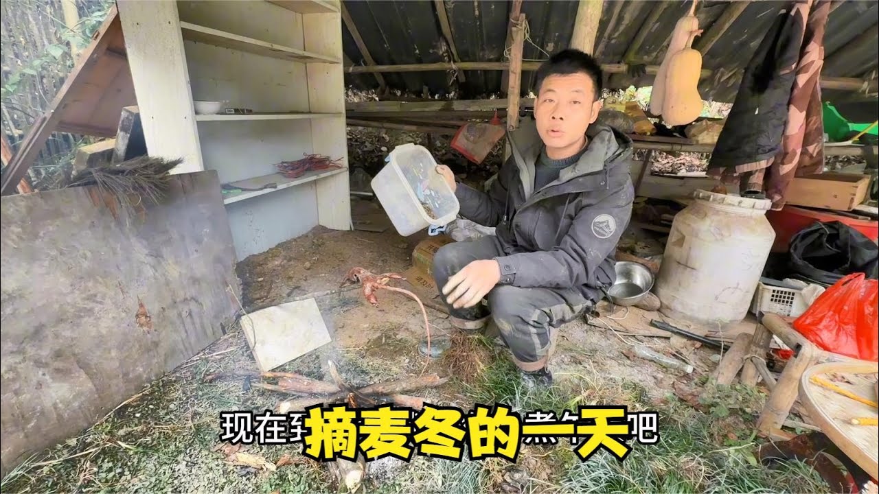 雨锅挖麦冬的一天：从早忙到晚，午饭简单却满足