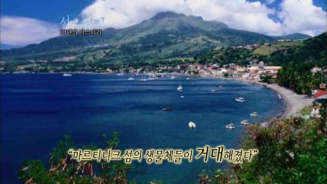 [서프라이즈] 모든 생물이 거대해지는 거인섬, 성인이 두달만에 10센치가 컸다고?