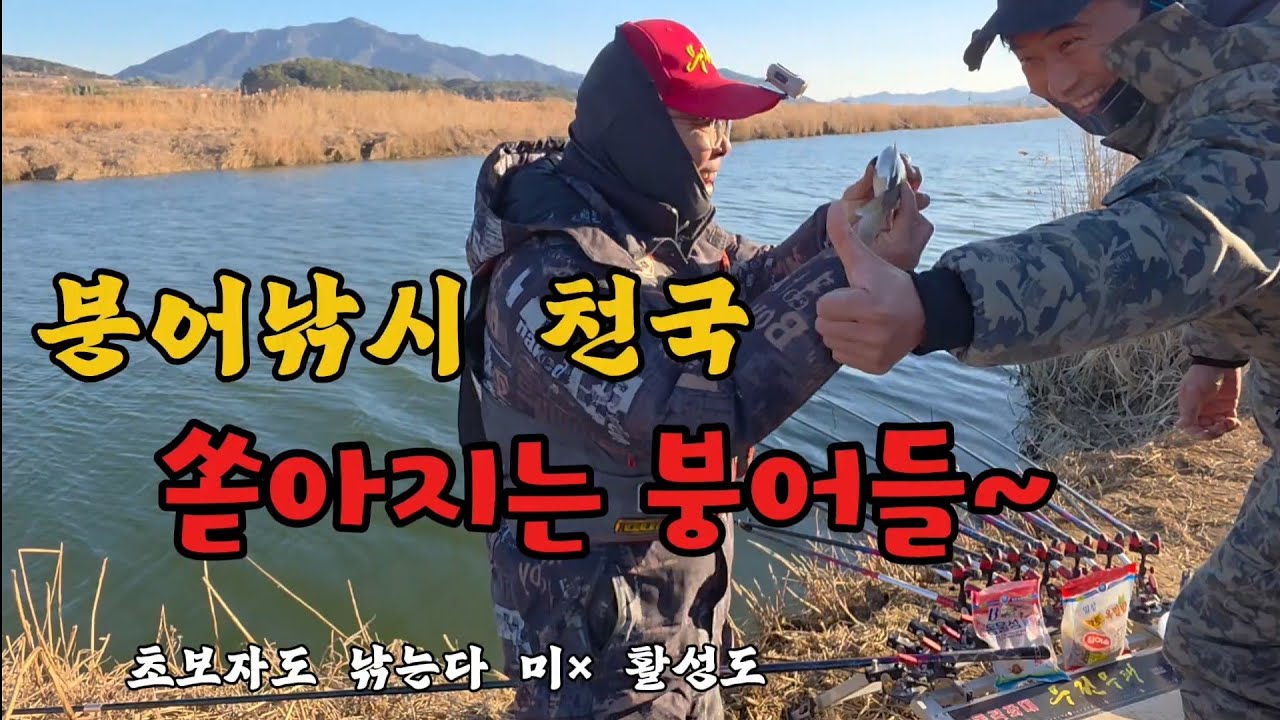 영하12도에 폭발적인 먹이활동 쏟아지는 붕어들~#붕어낚시 