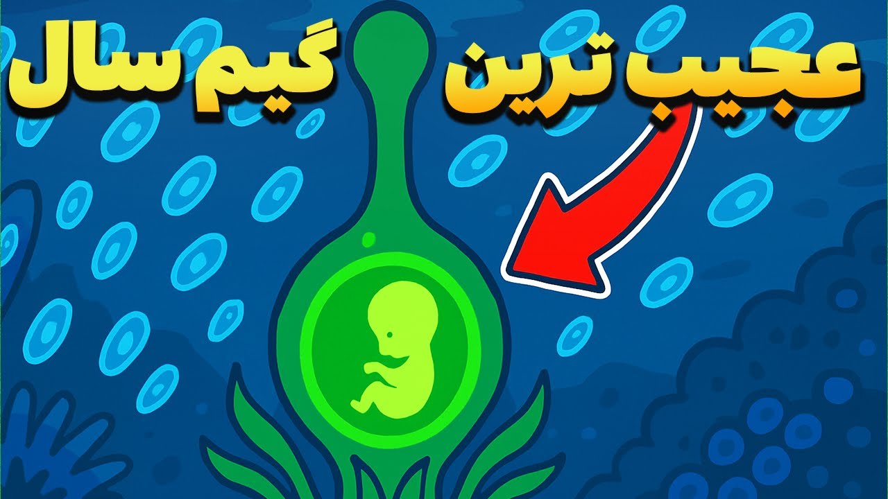 من ۱۰۰۰۰۰ سال رو صرف تکامل کلونی از موجودات تک سلولی کردم | Primordial Empire