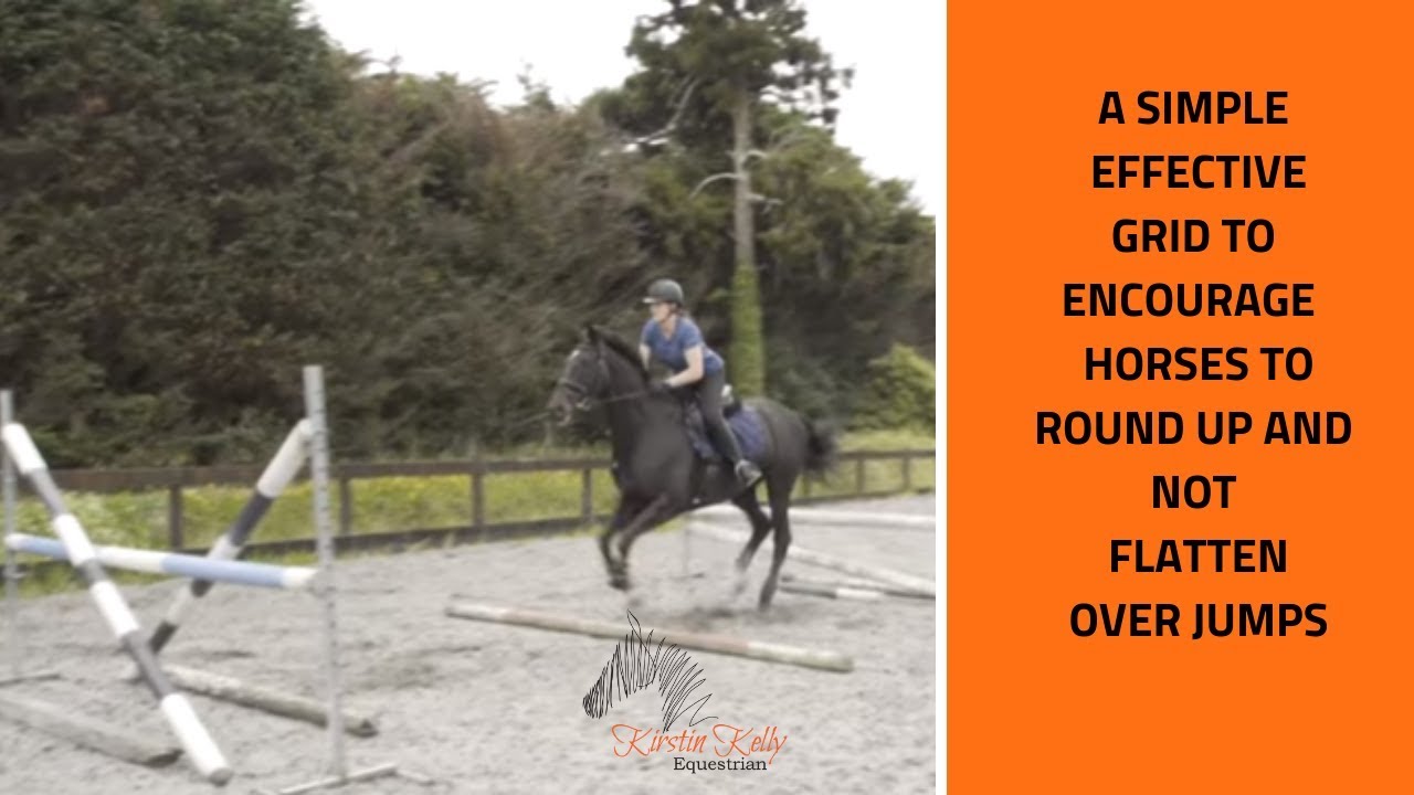 Show jumping grid work to improve your horses jump with Kirstin Kelly