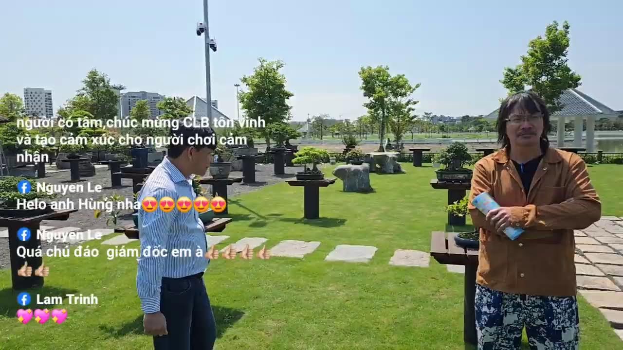 Phát trực tiếp của Bonsai Mạc Nam Định