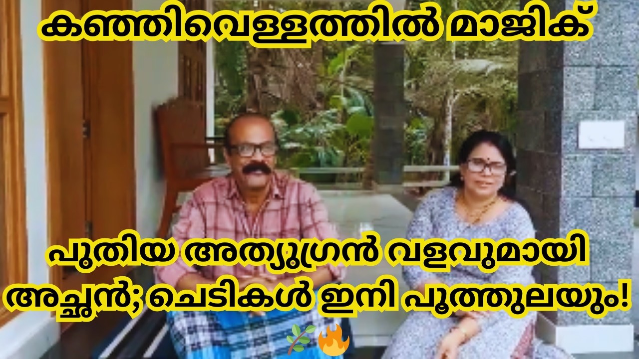 ഇത്രയും കാലം ഇത് അറിയാതെ പോയല്ലോ! അച്ഛന്റെ സ്പെഷ്യൽ ജൈവവളം. 😱🌱#garden #organicfertilizer #krishi