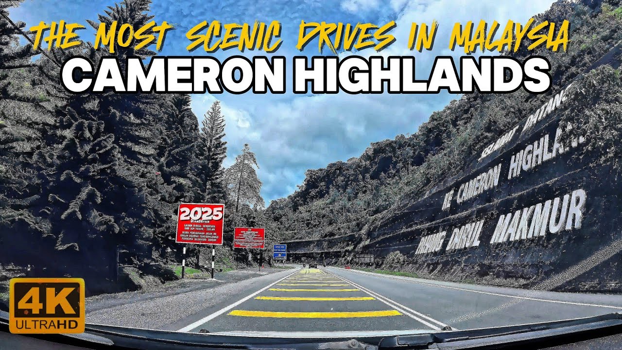 Breathtaking Drive Through Malaysia's Cameron Highlands