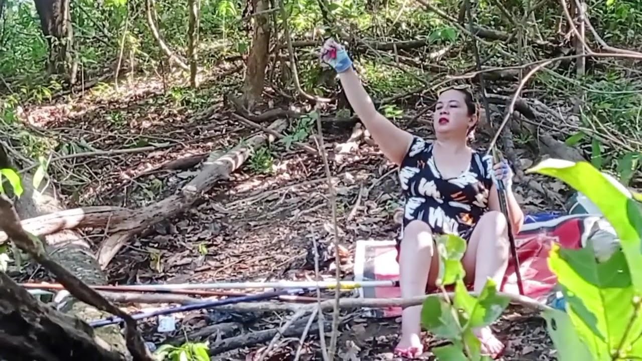 Rawa tersembunyi menjadi tempat sarang ikan yang sempurna