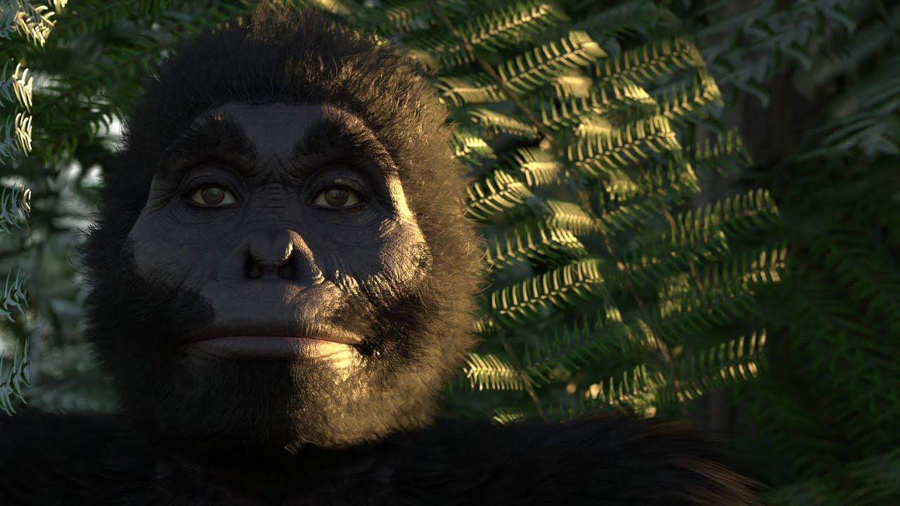 Австралопитек в деталях. Гость Станислав Дробышевский