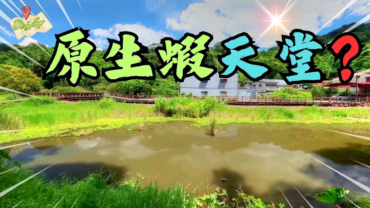 兩年後釣查，釣不魚卻超級開心！ 從外來種巢穴到原生蝦天堂！一個讓釣魚人感動落淚的生態勝利！｜Maxcatch｜永裕｜小物釣｜微物釣｜粗糙沼蝦｜#fishing #fishinglife #タナゴ釣り