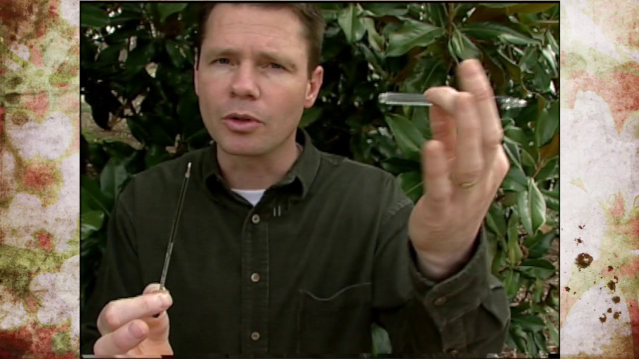 Plant Propagation by Layering