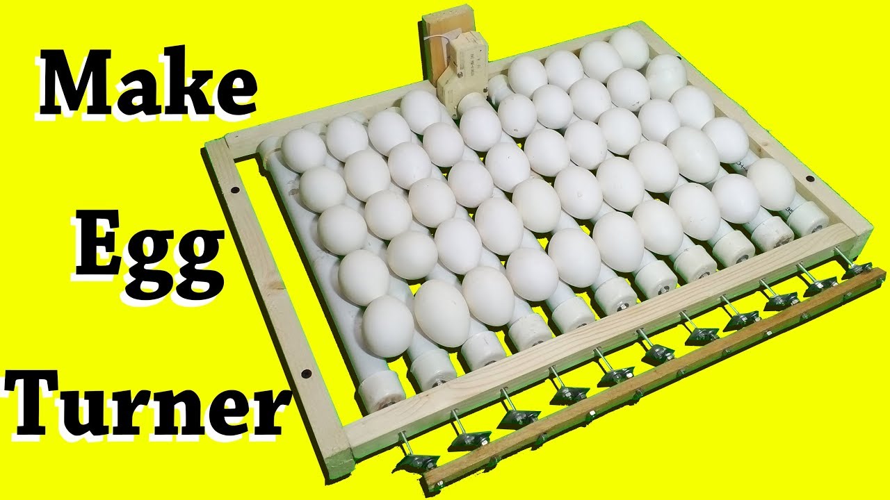 How to make Automatic Egg Turner for incubator  - Egg turner - automatic egg turner - egg roller