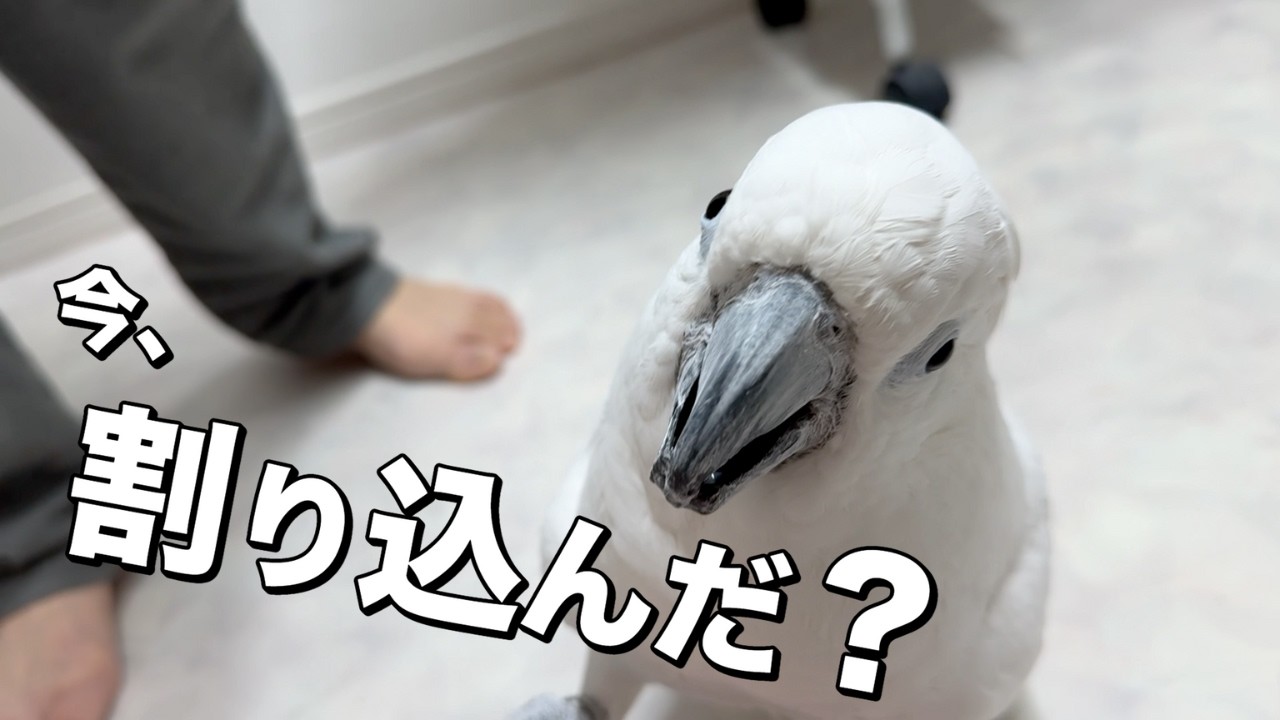 ゆきまる氏、会話のタイミングが良すぎて落ち着かない夜です