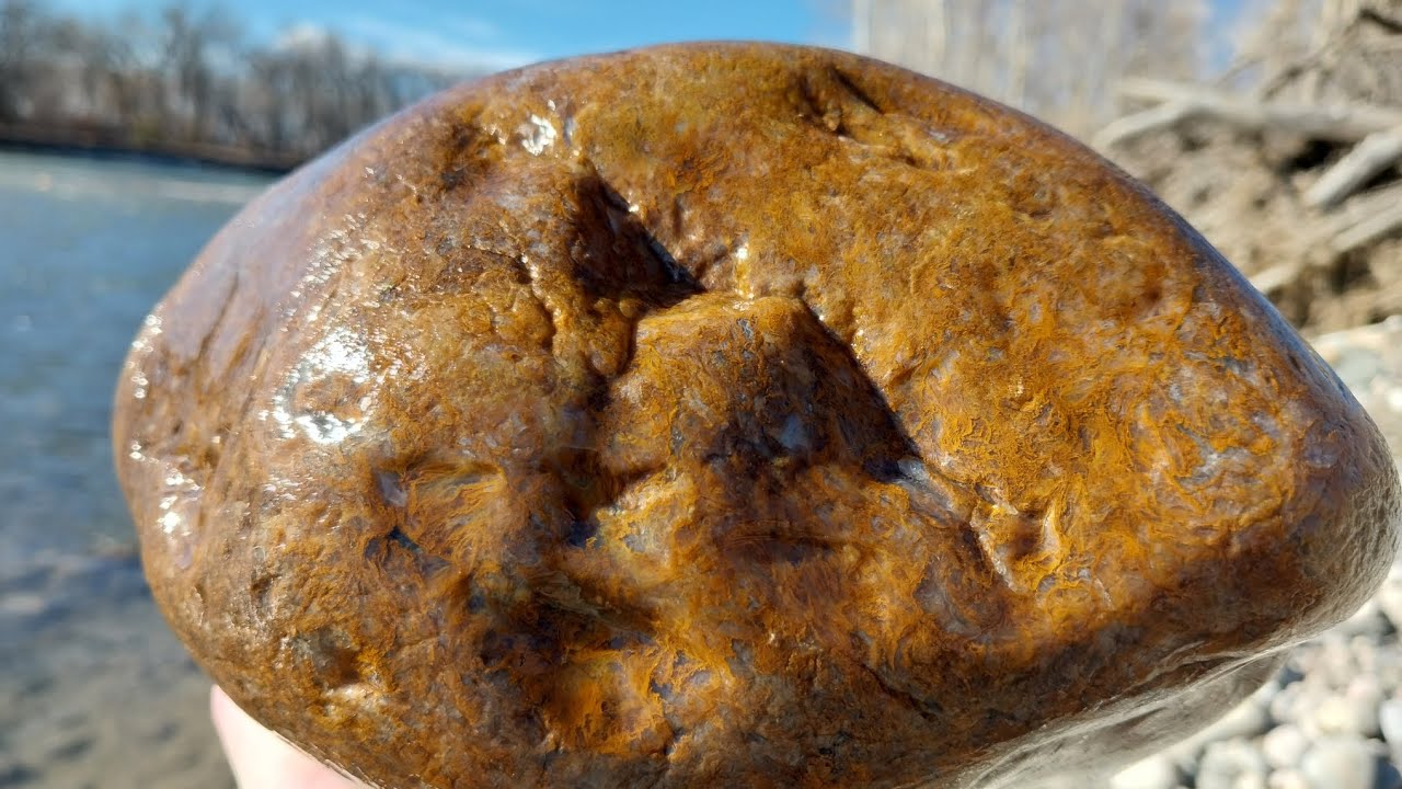 Rockhounding The Yellowstone River For Moss Agates #thefinders #montanaagate #rockhound 