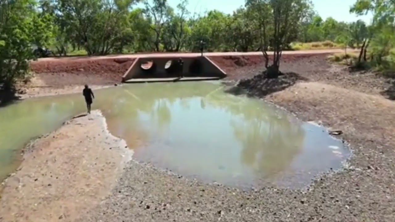 North Tanami Band 