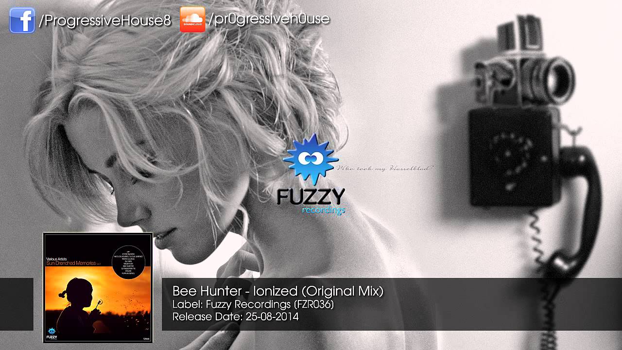 Bee Hunter - Ionized (Original Mix)