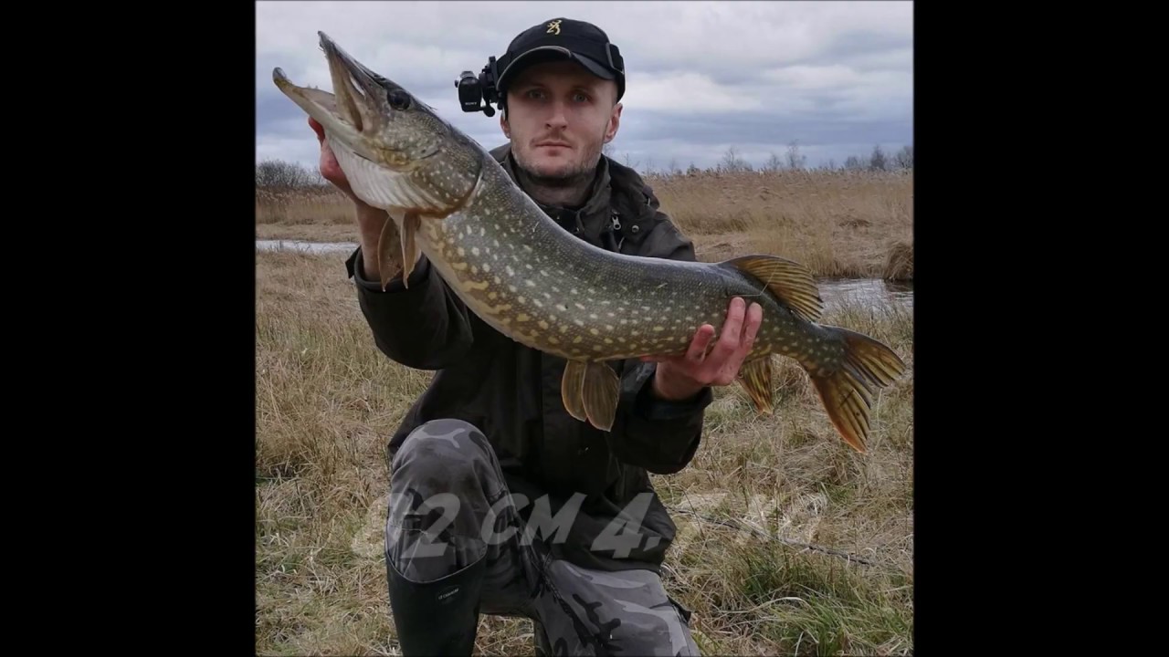 Pêche aux leurres n°32 - Brochet au Delalande Sandra