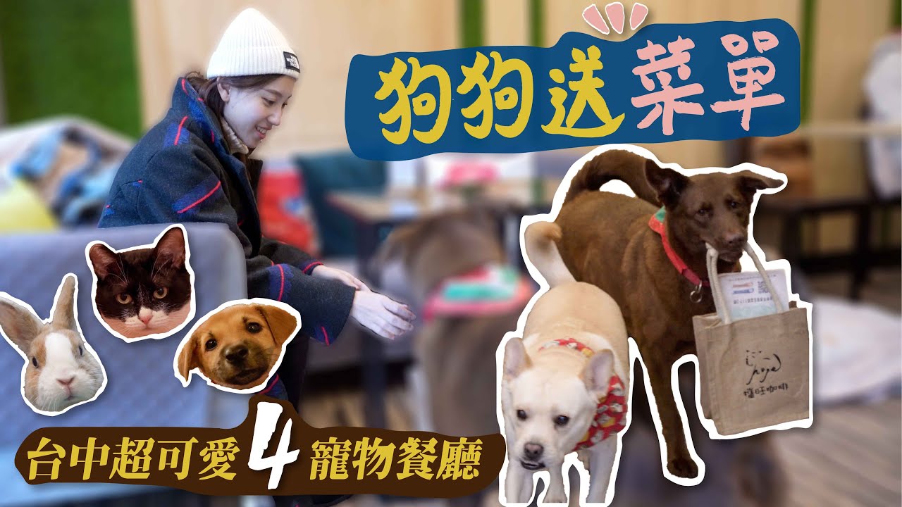 台中4家超可愛寵物餐廳！狗狗送菜單給你！狗狗兔兔貓貓融化你！｜台中寵物餐廳推薦｜瑄瑄Ｇ先生