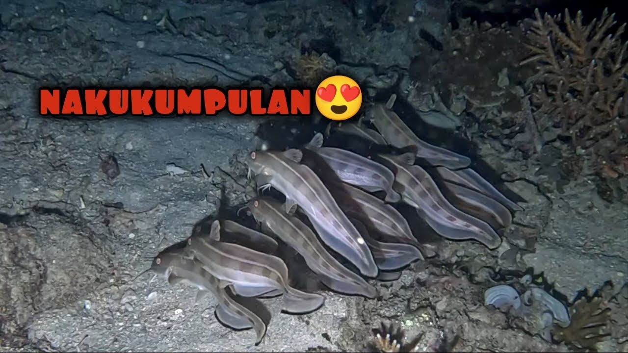 Isang groupong nag kukupulan😍