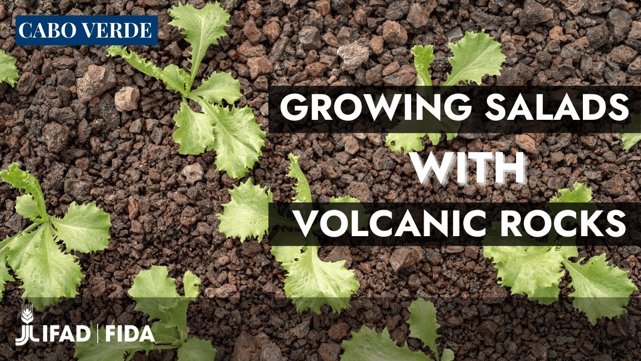 Cabo Verde: when water scarcity sparks innovation