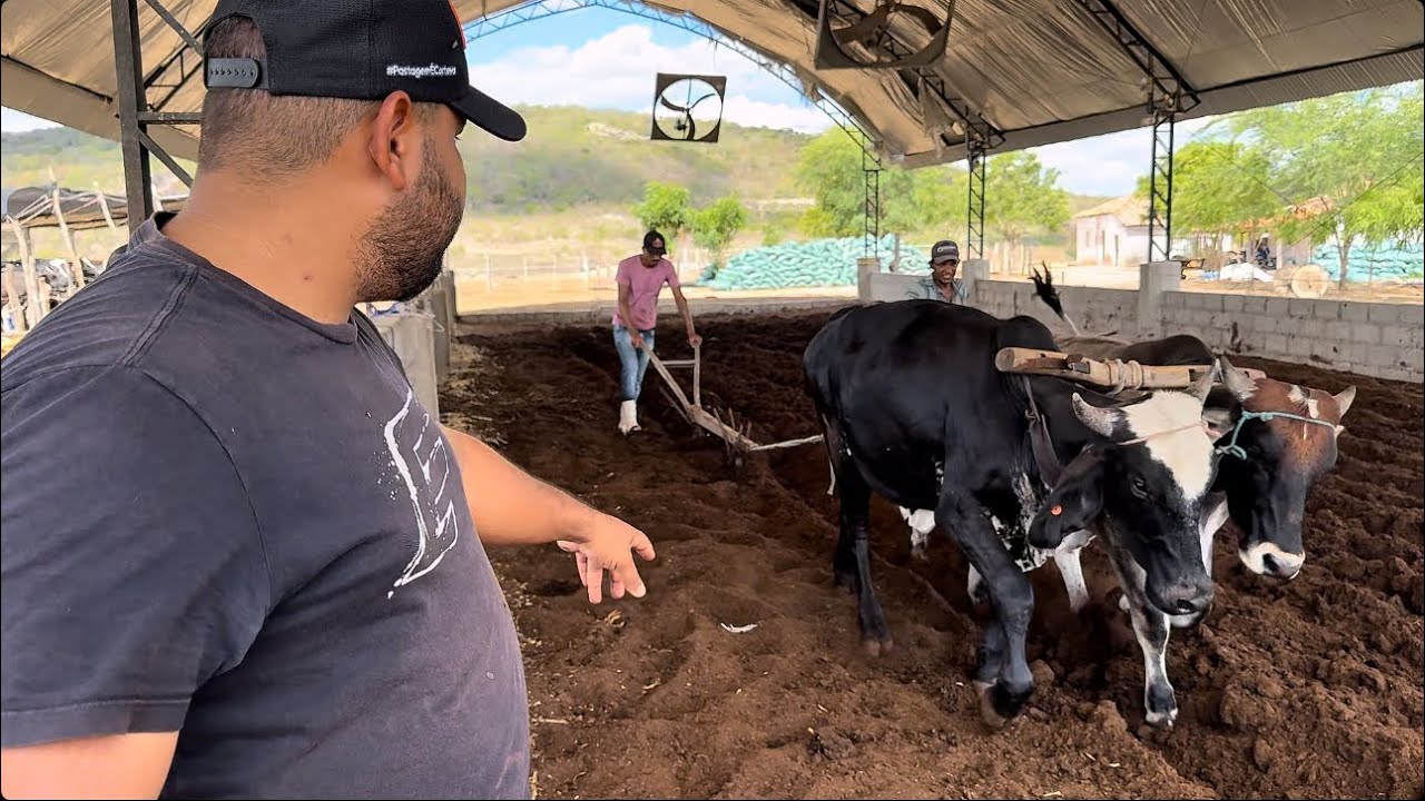 COMPOST BARN - (daily maintenance)