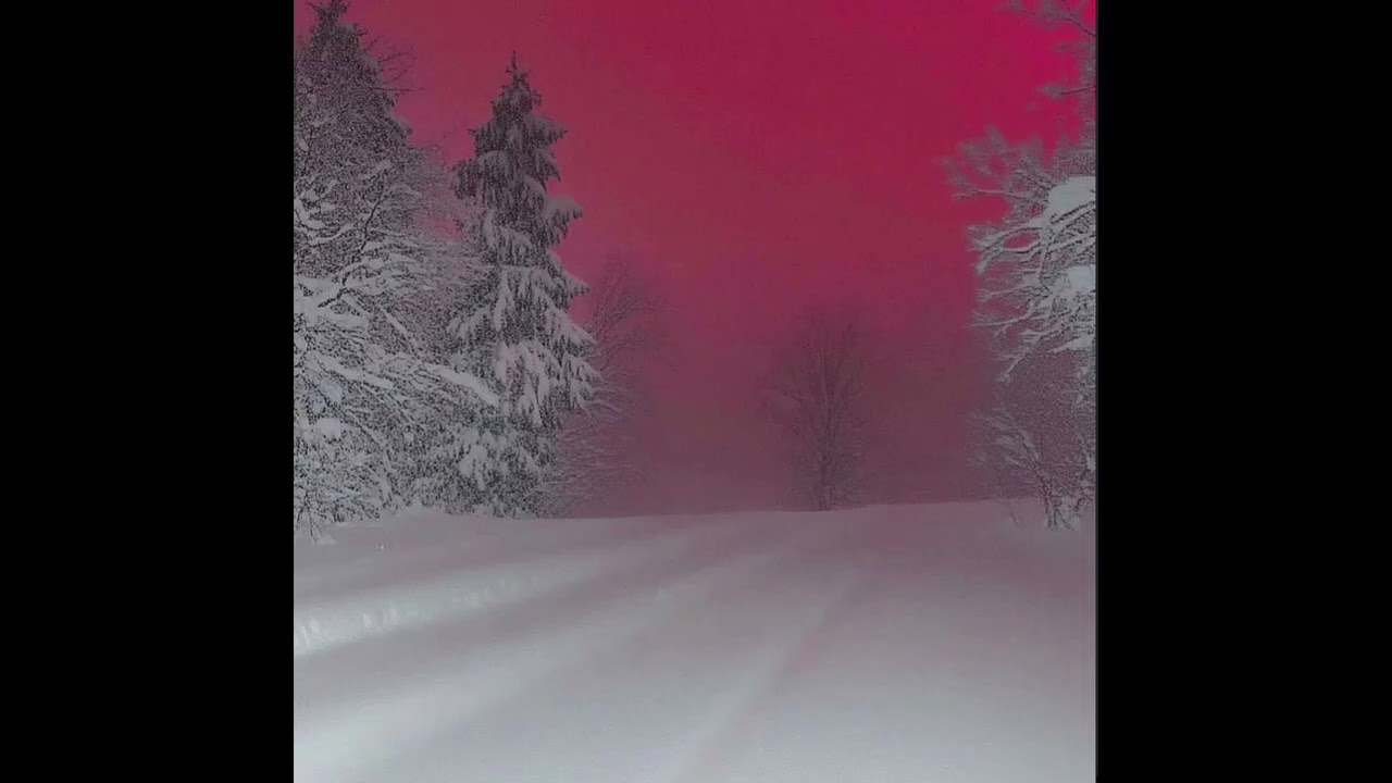 TDF + 1oneam Type Beat - 2SNOWY