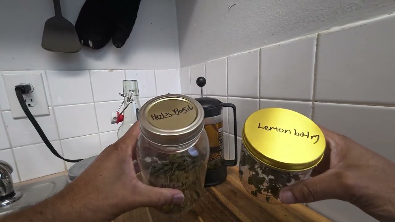 POV video: Tea brew with Holy basil and Lemonbalm