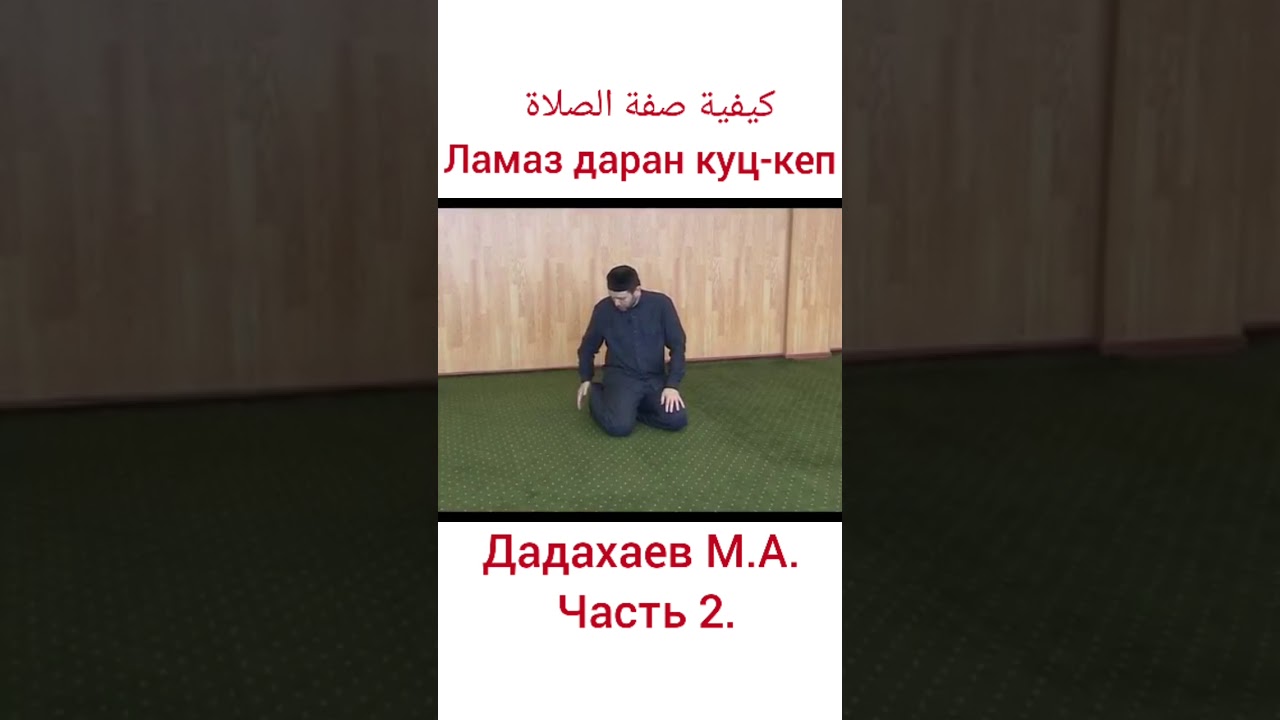 Дадахаев М.А.(2)