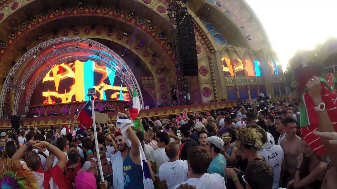Martin Solveig at Tomorrowland 2014 (Week 2)