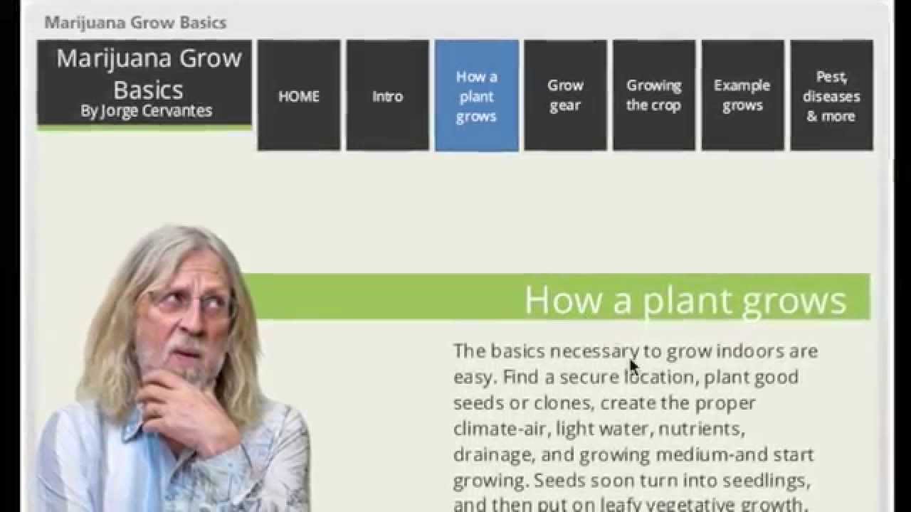 Marijuana Grow Basics Demo