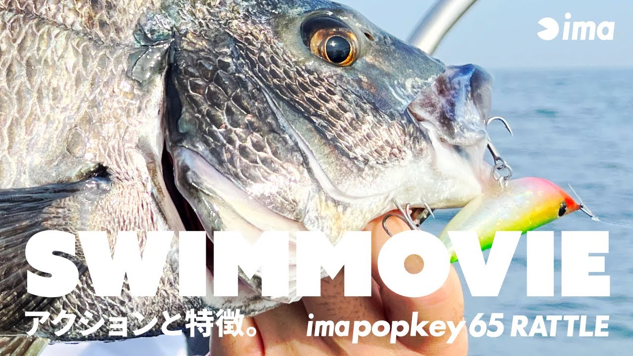 【SWIM】imapopkey 65 RATTLE | アクションと特徴。