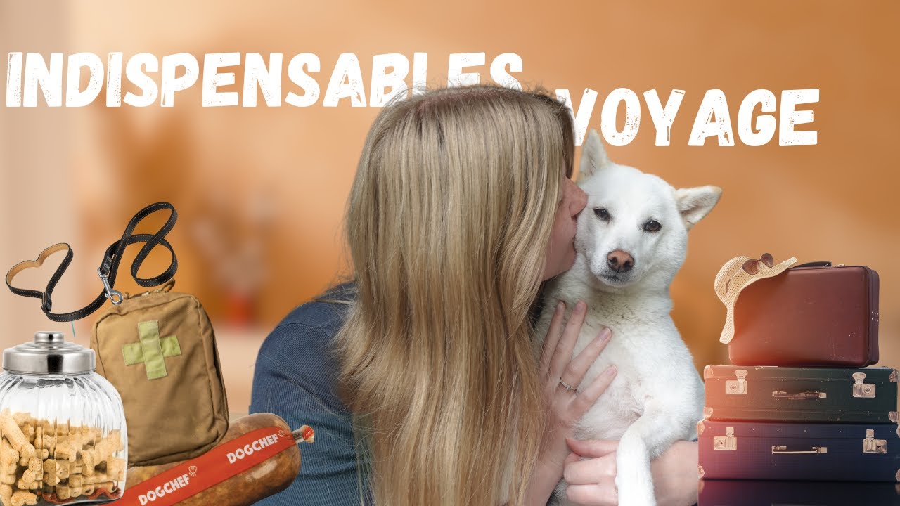 LES INDISPENSABLES QUAND ON PART EN VOYAGES AVEC SES CHIENS 🐶☀️