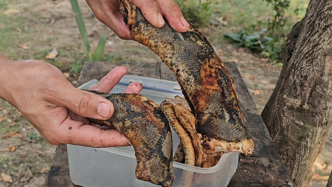 SAWA DI KA SA GATA | PAGKAING BUKID | OUTDOOR COOKING |Team AgustinTV 
