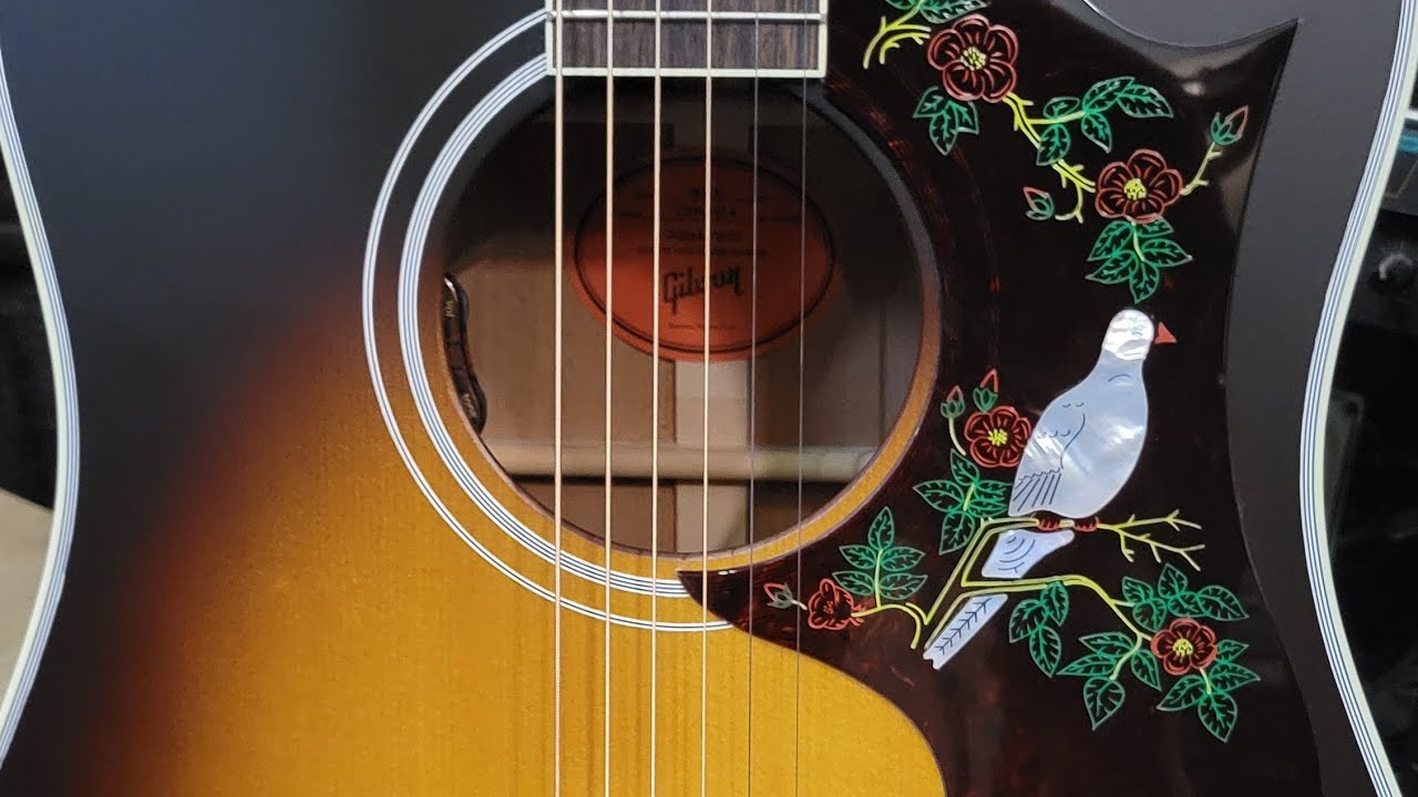 Gibson Dove Sunburst Unboxing
