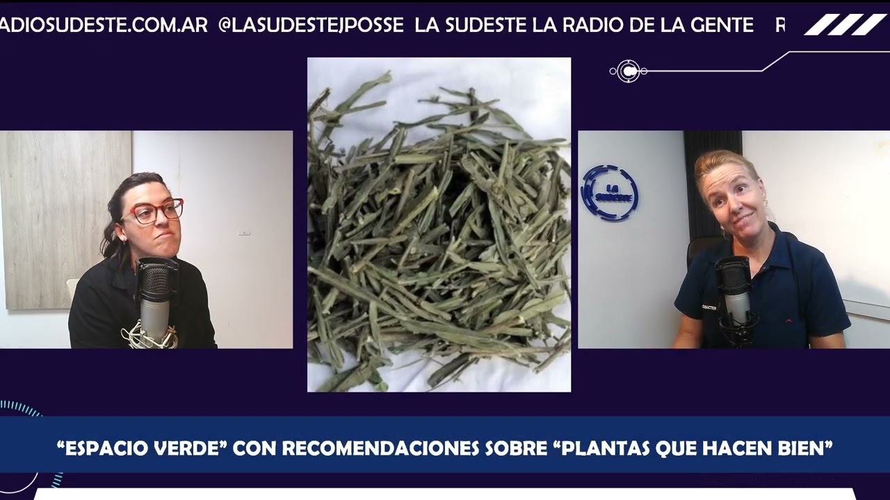 “Espacio Verde” - “Plantas que hacen bien”