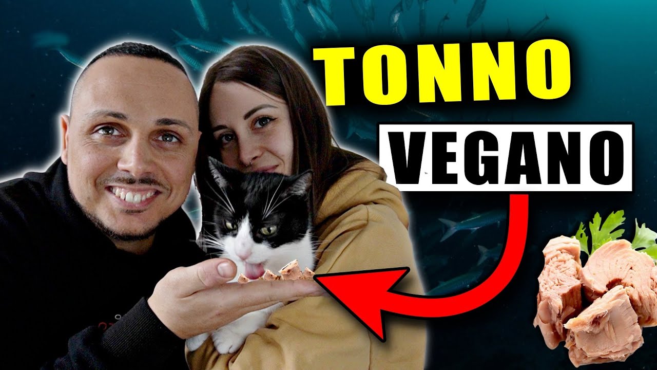 AL GATTO PIACERÀ IL TONNO VEGANO ?? | Video di Giorgio Immesi