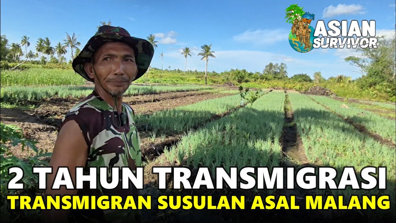 SOSOK PESERTA TRANSMIGRAN SUSULAN INI BUKTIKAN LAHAN EKSTRIM KALIMANTAN BISA JADI LAHAN PRODUKTIF