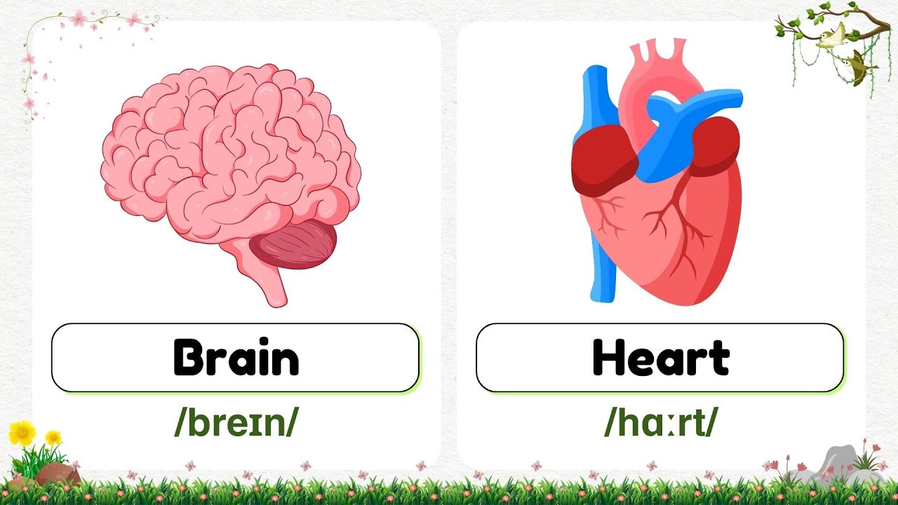 100+ Body Part Words in English with Pictures 👂👄 | Body Parts Vocabulary | English Vocabulary