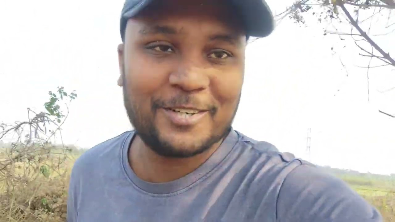 আজকে আমরা ক্ষেত থেকে আখ ভেঙে খেলাম। #vlog #dailyvideo #viralvideo #dailyvlog 