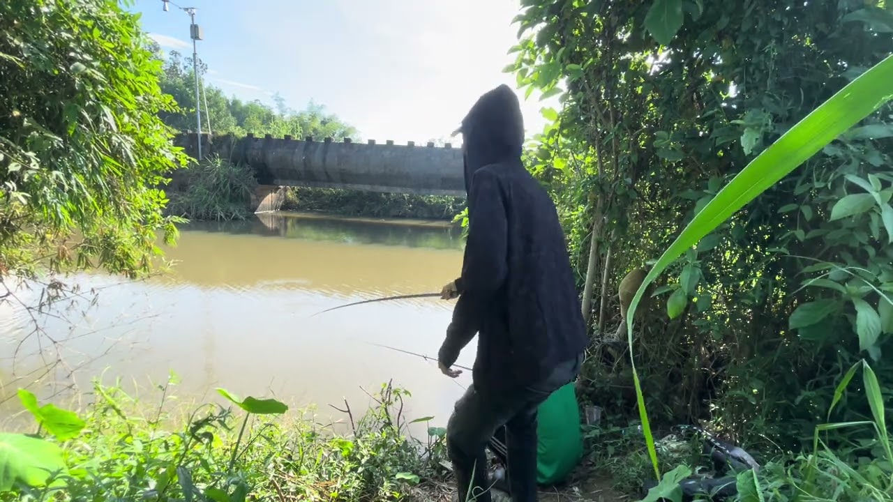 Một ngày tưởng bình thường nhưng…