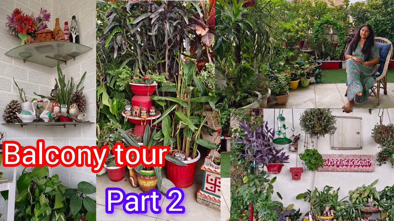 Balcony garden decoration || balcony garden tour