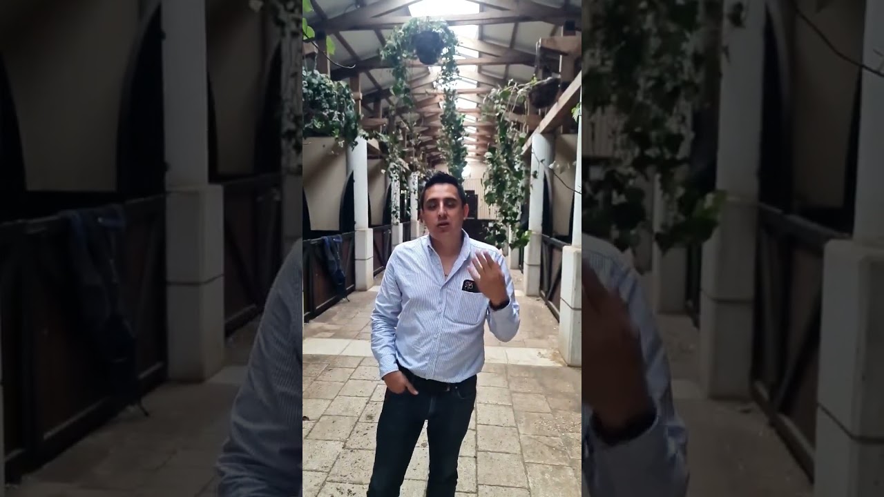 criadero la Marqueza de descarte de algunos de sus ejemplares, rey de reyes de la gloria entre otros
